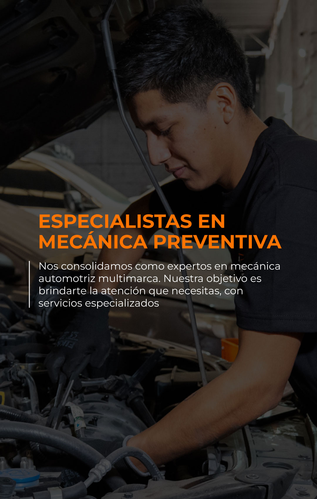 mecancia